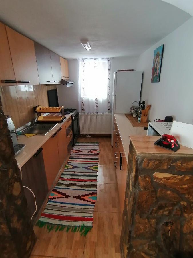 Cabana Daria Gîrda de Sus Exteriér fotografie