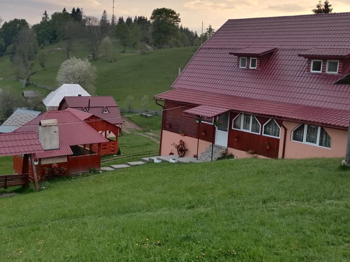 Cabana Daria Gîrda de Sus Exteriér fotografie