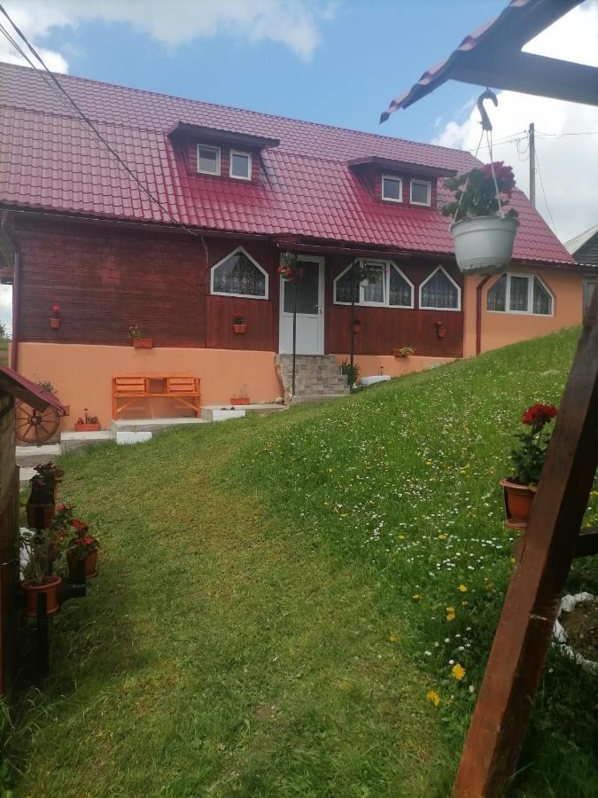 Cabana Daria Gîrda de Sus Exteriér fotografie
